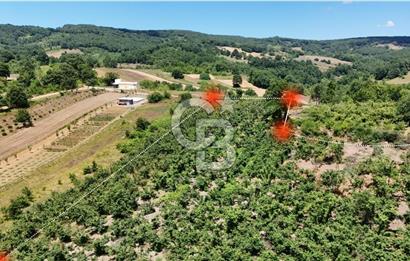 CB TAN-KOCAELİ/İZMİT/ŞAHİNLER FINDIKLIK YERLEŞİM DİBİNDE ASFALT YOLLU 12923M2 SATILIK ARSA