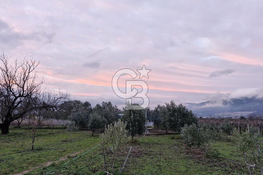 İZMİR AŞAĞIKIZILCADA 3550M2 İÇİNDE MÜSTAKİL EV