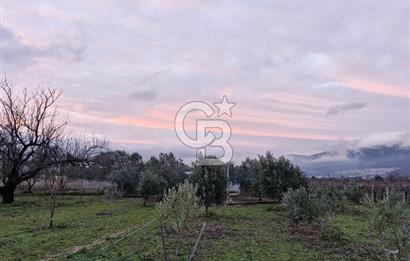 İZMİR AŞAĞIKIZILCADA 3550M2 İÇİNDE MÜSTAKİL EV