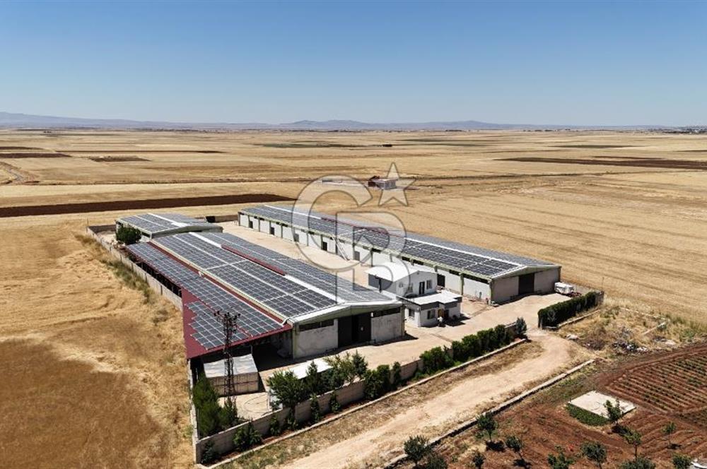 DİYARBAKIR ERGANİDE GÜNEŞ ENERJİ ÜRETİMLİ SATILIK ÇİFTLİK