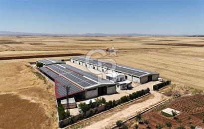 DİYARBAKIR ERGANİDE GÜNEŞ ENERJİ ÜRETİMLİ SATILIK ÇİFTLİK