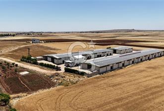 DİYARBAKIR ERGANİDE GÜNEŞ ENERJİ ÜRETİMLİ SATILIK ÇİFTLİK