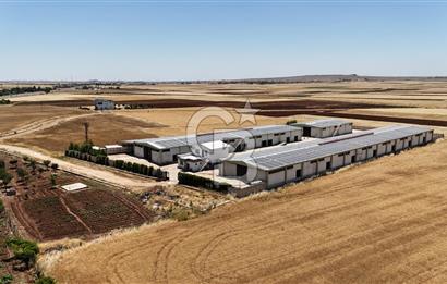 DİYARBAKIR ERGANİDE GÜNEŞ ENERJİ ÜRETİMLİ SATILIK ÇİFTLİK