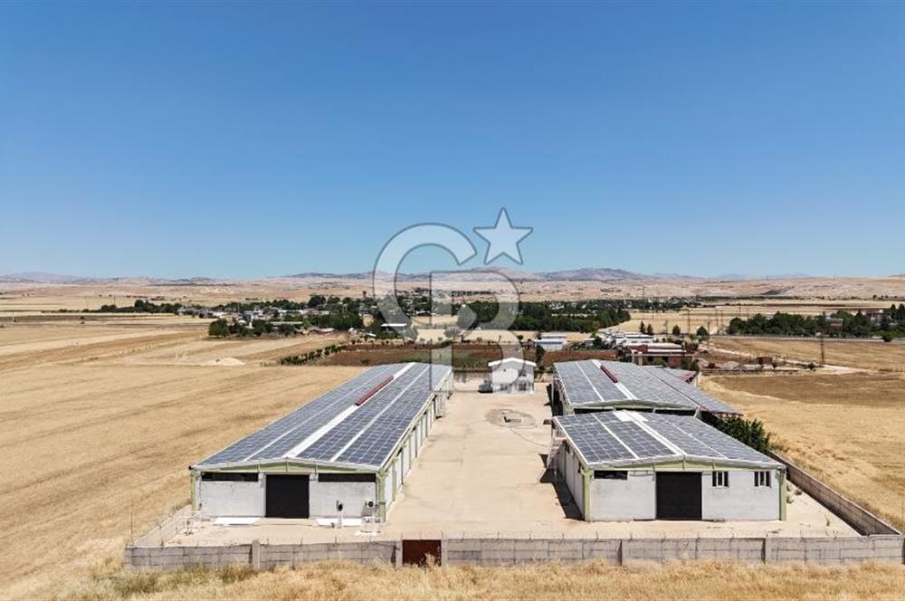 DİYARBAKIR ERGANİDE GÜNEŞ ENERJİ ÜRETİMLİ SATILIK ÇİFTLİK