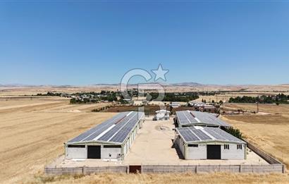 DİYARBAKIR ERGANİDE GÜNEŞ ENERJİ ÜRETİMLİ SATILIK ÇİFTLİK