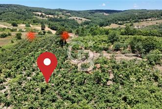 CB TAN-KOCAELİ/İZMİT/ŞAHİNLER FINDIKLIK YERLEŞİM DİBİNDE ASFALT YOLLU 12923M2 SATILIK ARSA