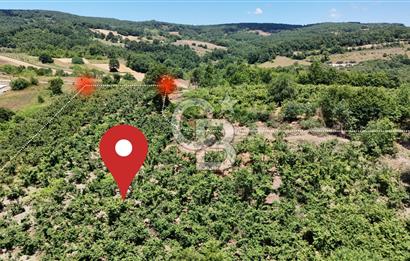 CB TAN-KOCAELİ/İZMİT/ŞAHİNLER FINDIKLIK YERLEŞİM DİBİNDE ASFALT YOLLU 12923M2 SATILIK ARSA
