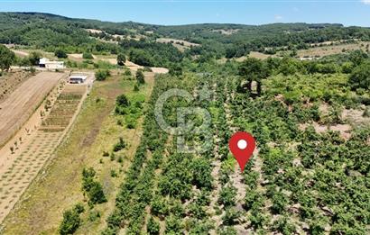 CB TAN-KOCAELİ/İZMİT/ŞAHİNLER FINDIKLIK YERLEŞİM DİBİNDE ASFALT YOLLU 12923M2 SATILIK ARSA