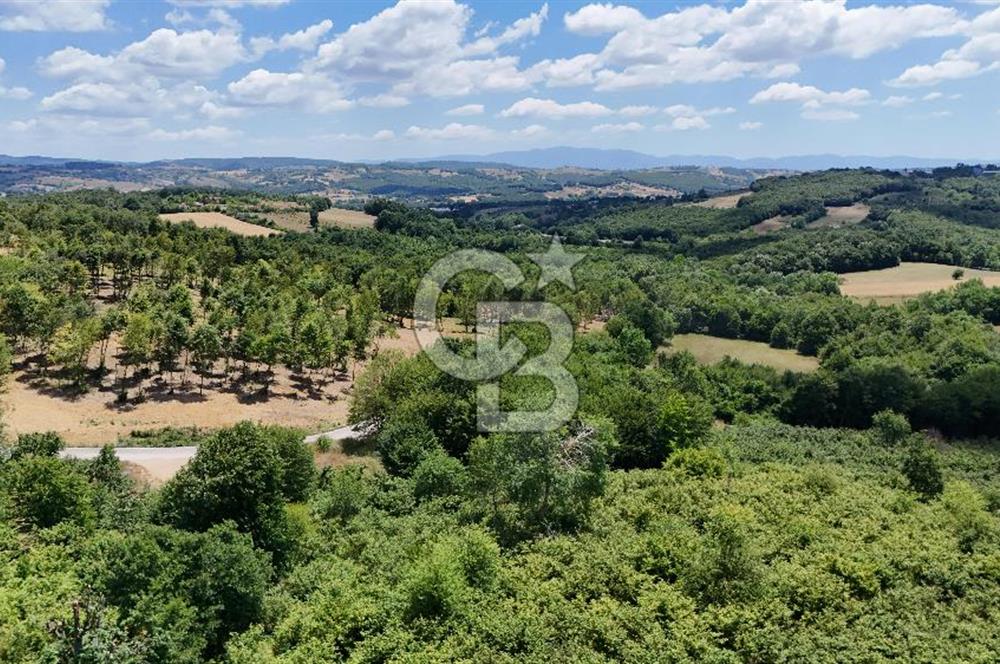 CB TAN-KOCAELİ/İZMİT/ŞAHİNLER FINDIKLIK YERLEŞİM DİBİNDE ASFALT YOLLU 12923M2 SATILIK ARSA