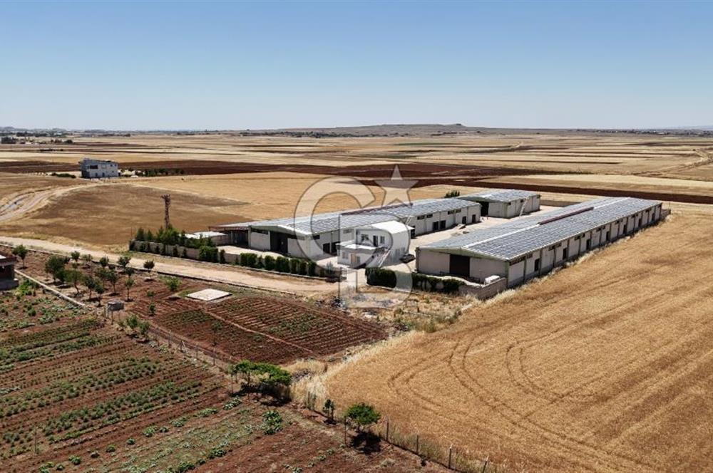 DİYARBAKIR ERGANİDE GÜNEŞ ENERJİ ÜRETİMLİ SATILIK ÇİFTLİK