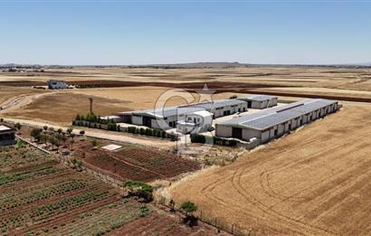 DİYARBAKIR ERGANİDE GÜNEŞ ENERJİ ÜRETİMLİ SATILIK ÇİFTLİK