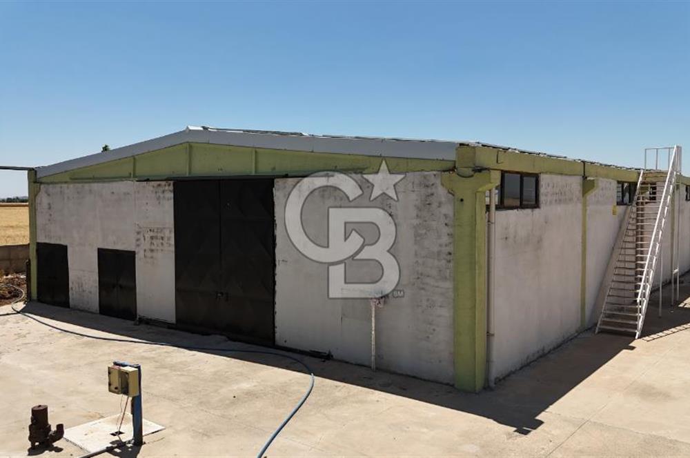 DİYARBAKIR ERGANİDE GÜNEŞ ENERJİ ÜRETİMLİ SATILIK ÇİFTLİK