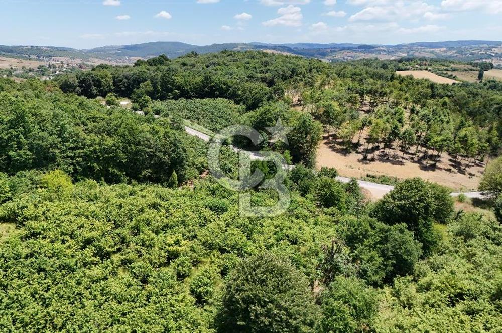 CB TAN-KOCAELİ/İZMİT/ŞAHİNLER FINDIKLIK YERLEŞİM DİBİNDE ASFALT YOLLU 12923M2 SATILIK ARSA