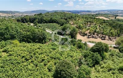 CB TAN-KOCAELİ/İZMİT/ŞAHİNLER FINDIKLIK YERLEŞİM DİBİNDE ASFALT YOLLU 12923M2 SATILIK ARSA