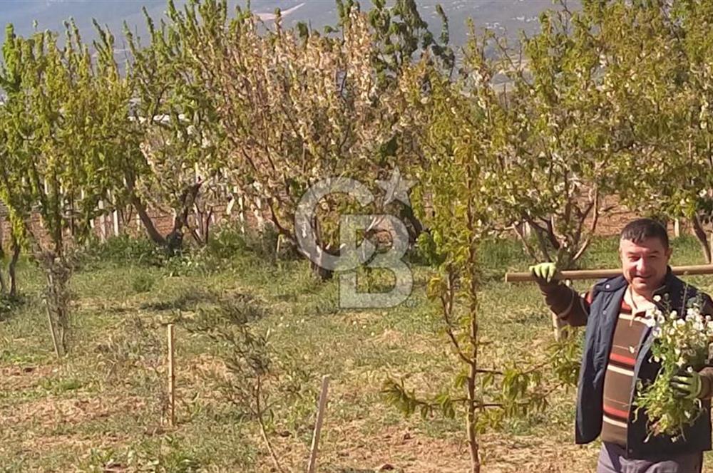 İZMİR AŞAĞIKIZILCADA 3550M2 İÇİNDE MÜSTAKİL EV