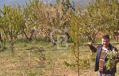 İZMİR AŞAĞIKIZILCADA 3550M2 İÇİNDE MÜSTAKİL EV