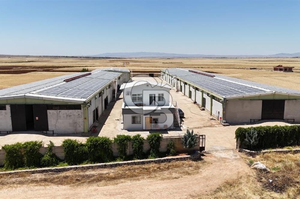 DİYARBAKIR ERGANİDE GÜNEŞ ENERJİ ÜRETİMLİ SATILIK ÇİFTLİK