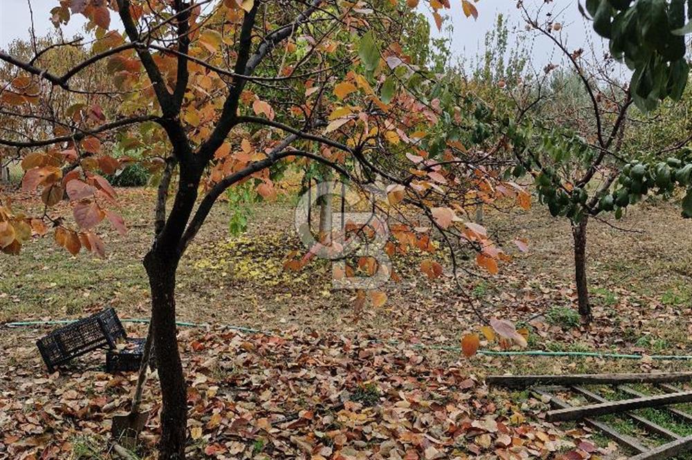 İZMİR AŞAĞIKIZILCADA 3550M2 İÇİNDE MÜSTAKİL EV