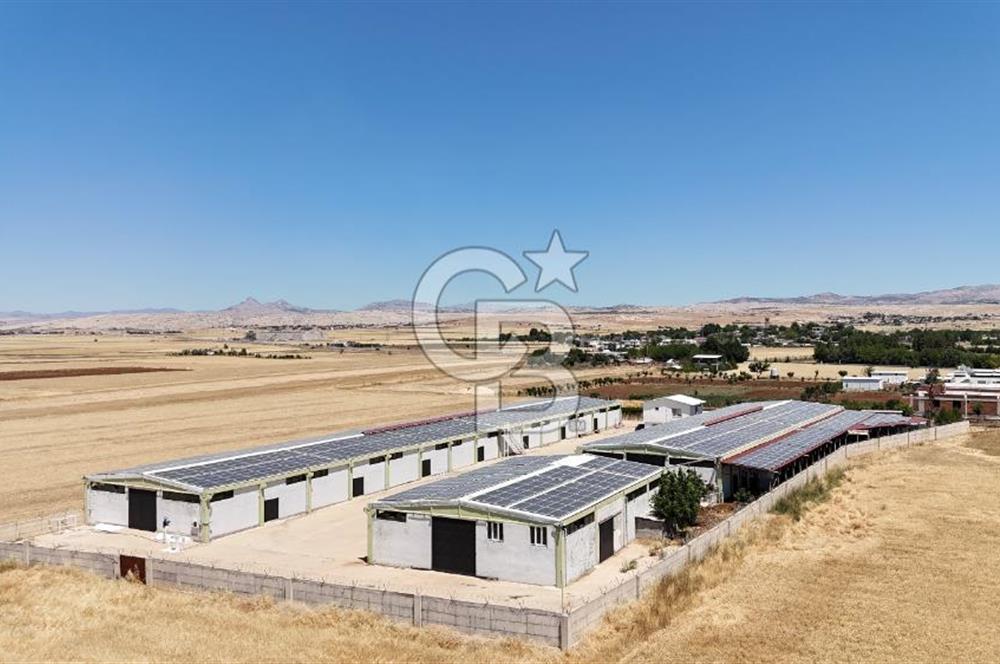 DİYARBAKIR ERGANİDE GÜNEŞ ENERJİ ÜRETİMLİ SATILIK ÇİFTLİK