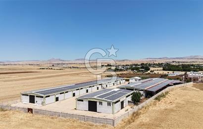 DİYARBAKIR ERGANİDE GÜNEŞ ENERJİ ÜRETİMLİ SATILIK ÇİFTLİK