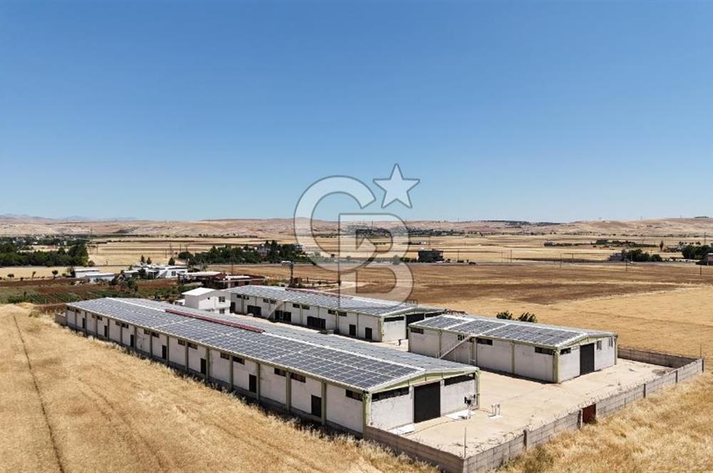 DİYARBAKIR ERGANİDE GÜNEŞ ENERJİ ÜRETİMLİ SATILIK ÇİFTLİK
