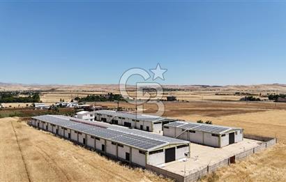 DİYARBAKIR ERGANİDE GÜNEŞ ENERJİ ÜRETİMLİ SATILIK ÇİFTLİK