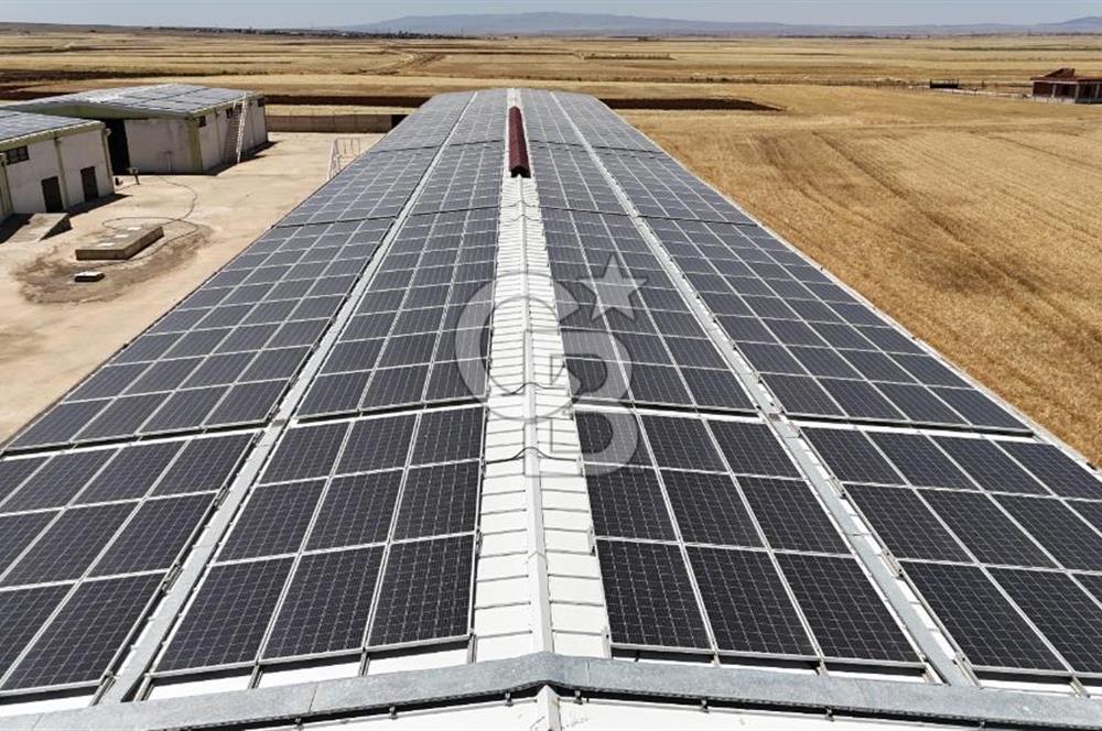 DİYARBAKIR ERGANİDE GÜNEŞ ENERJİ ÜRETİMLİ SATILIK ÇİFTLİK