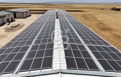 DİYARBAKIR ERGANİDE GÜNEŞ ENERJİ ÜRETİMLİ SATILIK ÇİFTLİK