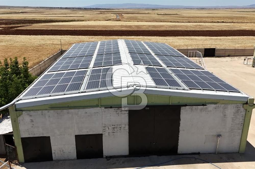 DİYARBAKIR ERGANİDE GÜNEŞ ENERJİ ÜRETİMLİ SATILIK ÇİFTLİK