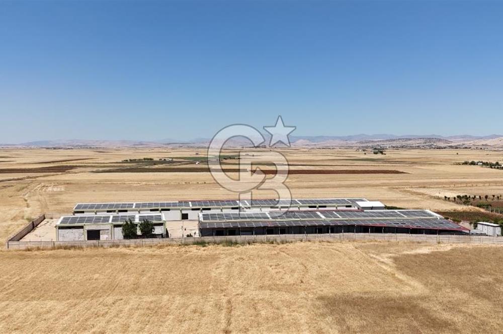 DİYARBAKIR ERGANİDE GÜNEŞ ENERJİ ÜRETİMLİ SATILIK ÇİFTLİK