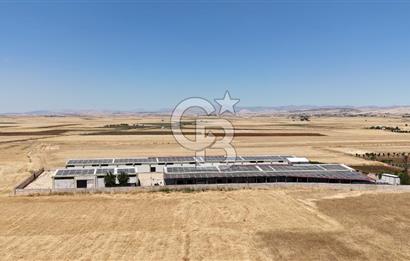DİYARBAKIR ERGANİDE GÜNEŞ ENERJİ ÜRETİMLİ SATILIK ÇİFTLİK