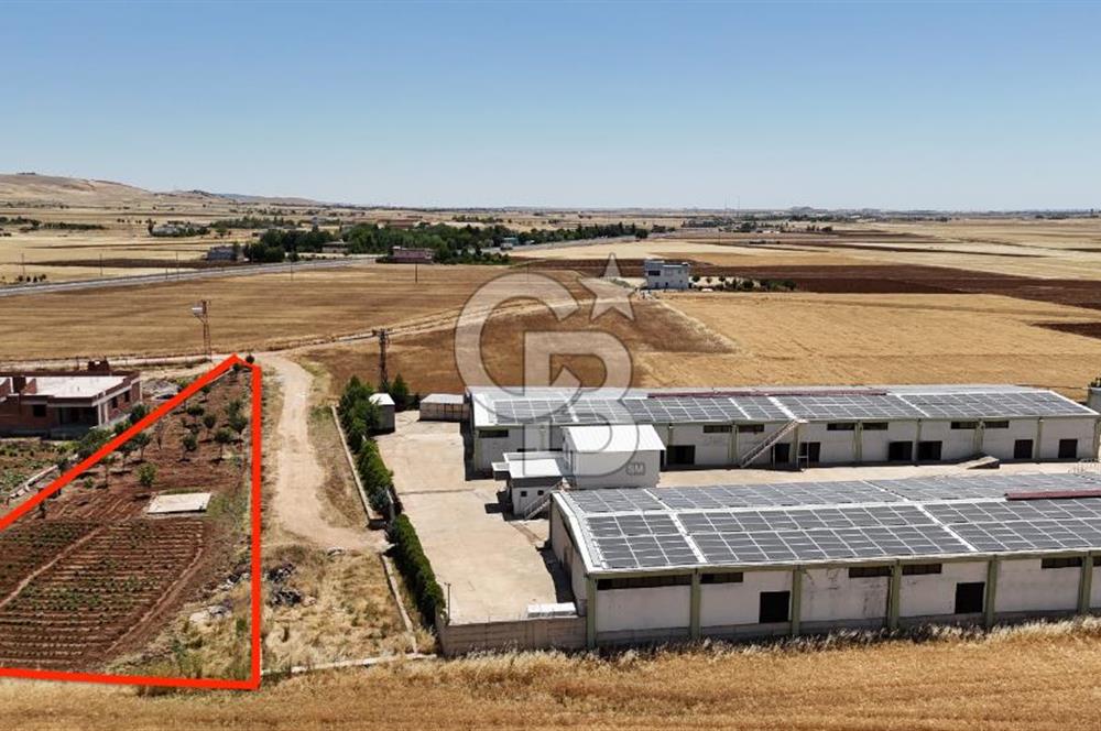 DİYARBAKIR ERGANİDE GÜNEŞ ENERJİ ÜRETİMLİ SATILIK ÇİFTLİK