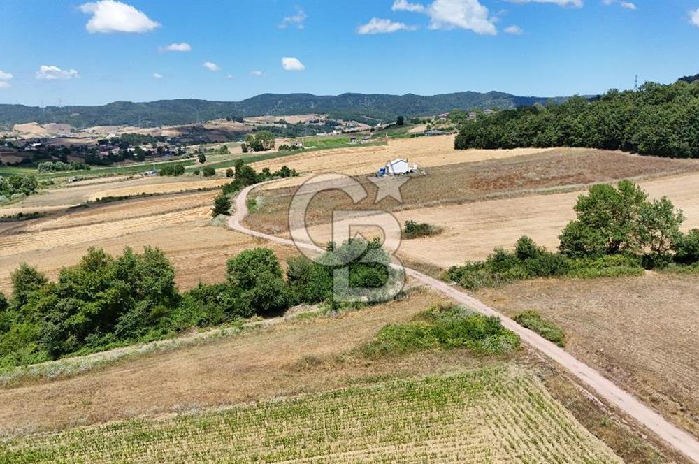 CB TAN-KOCAELİ/İZMİT/ŞAHİNLER FINDIKLIK YERLEŞİM DİBİNDE ASFALT YOLLU 12923M2 SATILIK ARSA
