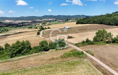 CB TAN-KOCAELİ/İZMİT/ŞAHİNLER FINDIKLIK YERLEŞİM DİBİNDE ASFALT YOLLU 12923M2 SATILIK ARSA