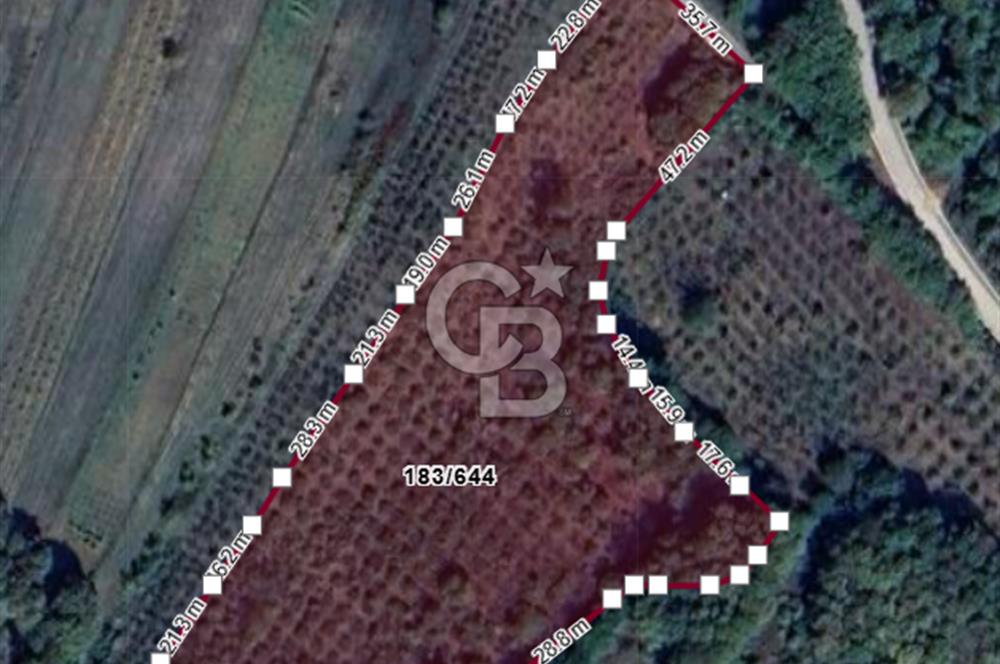 CB TAN-KOCAELİ/İZMİT/ŞAHİNLER FINDIKLIK YERLEŞİM DİBİNDE ASFALT YOLLU 12923M2 SATILIK ARSA