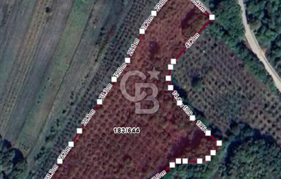 CB TAN-KOCAELİ/İZMİT/ŞAHİNLER FINDIKLIK YERLEŞİM DİBİNDE ASFALT YOLLU 12923M2 SATILIK ARSA