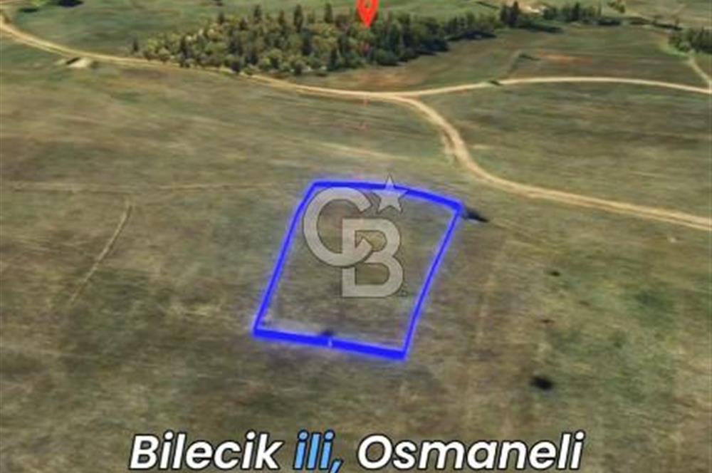 Bilecik Osmaneli'nde Yatırım Fırsatı 