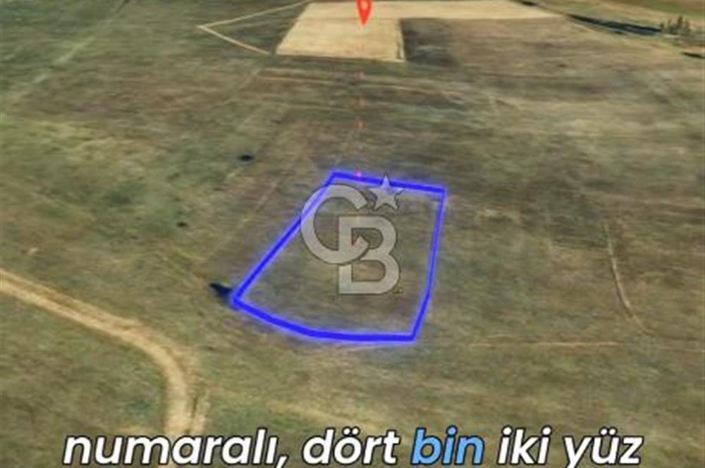 Bilecik Osmaneli'nde Yatırım Fırsatı 