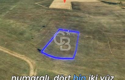 Bilecik Osmaneli'nde Yatırım Fırsatı 