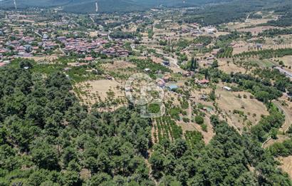 Bayındır Çınardibi satılık kiraz bahçesi 
