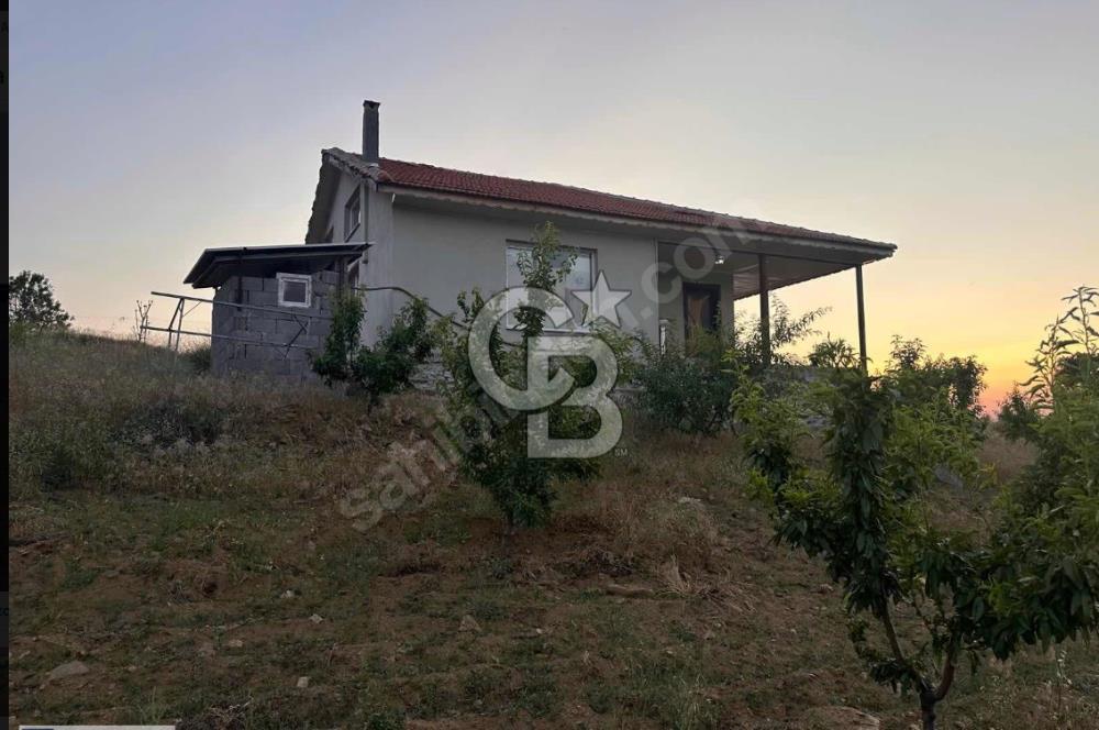 Manisa Kulada Oturmaya Hazır Sertifikalı Badem Çiftliği