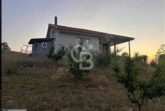 Manisa Kulada Oturmaya Hazır Sertifikalı Badem Çiftliği