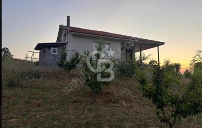 Manisa Kulada Oturmaya Hazır Sertifikalı Badem Çiftliği