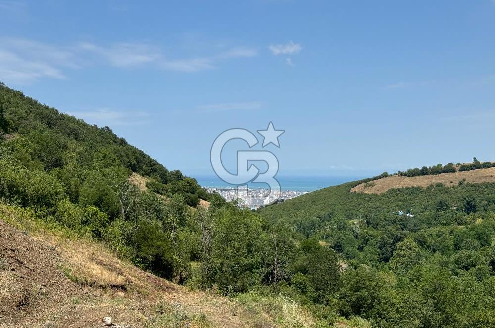 DOGA ILE IÇ iÇE 1800m' ARSA iÇiNDEKi HARiKA BiR BUNGALOV