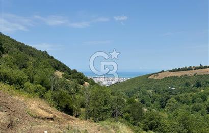 DOGA ILE IÇ iÇE 1800m' ARSA iÇiNDEKi HARiKA BiR BUNGALOV