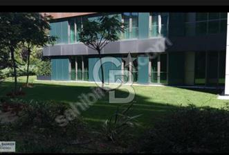 Geniş Bahçeli Orman Manzaralı 3,5+1 Satılık Daire