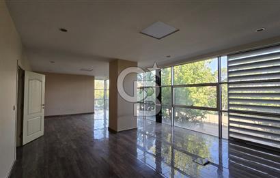 Coldwell Banker'dan Yeniyol’da Yatırımın En Güçlü Noktası