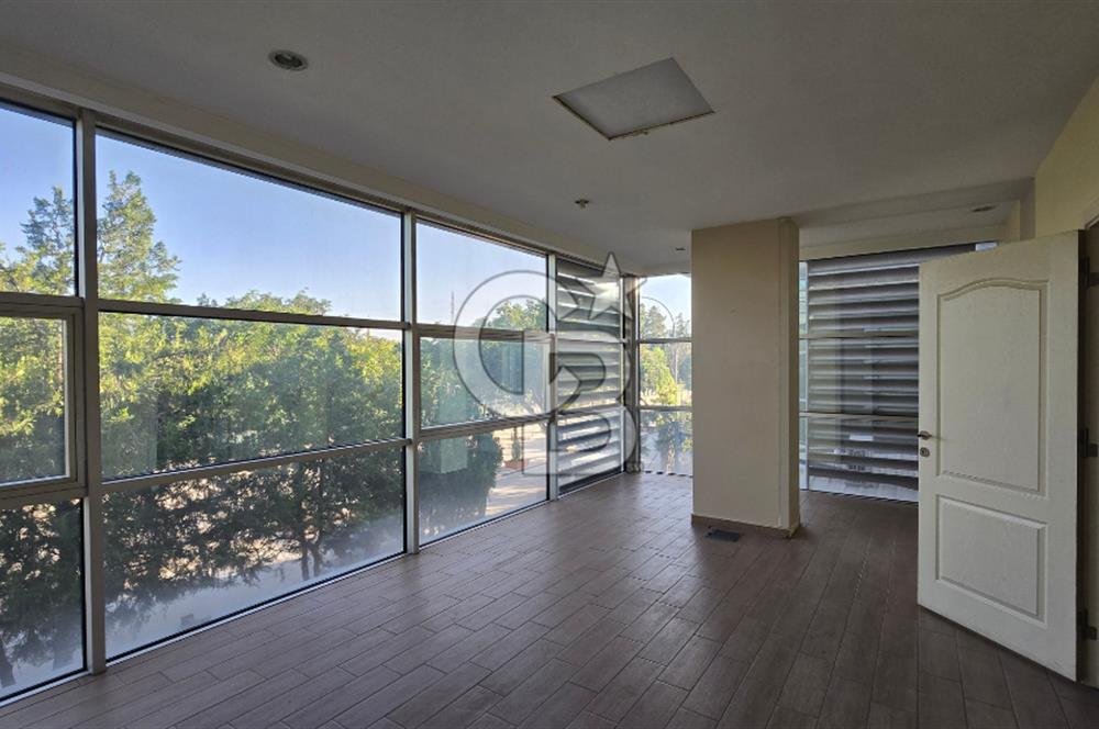 Coldwell Banker'dan Yeniyol’da Yatırımın En Güçlü Noktası