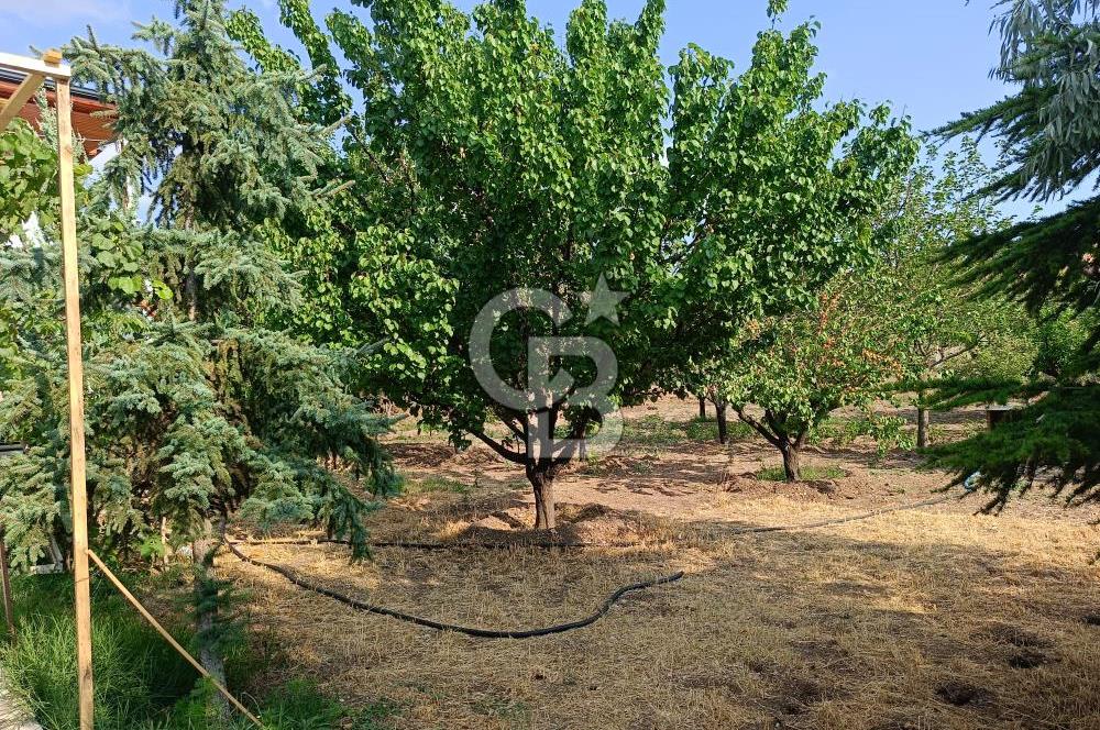 GÖLBAŞI OĞULBEY'DE 3+1 145 M2 GENİŞ BAHÇELİ BOŞ KİRALIK VİLLA