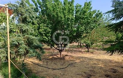 GÖLBAŞI OĞULBEY'DE 3+1 145 M2 GENİŞ BAHÇELİ BOŞ KİRALIK VİLLA
